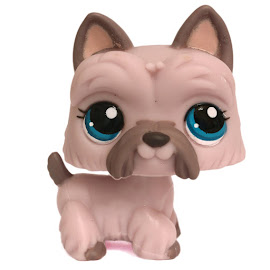 Littlest Pet Shop Small Playset Scottie (#1201) Pet