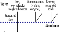 MICROZA UF (Ultrafiltration) Membranes ASAHIKASEI