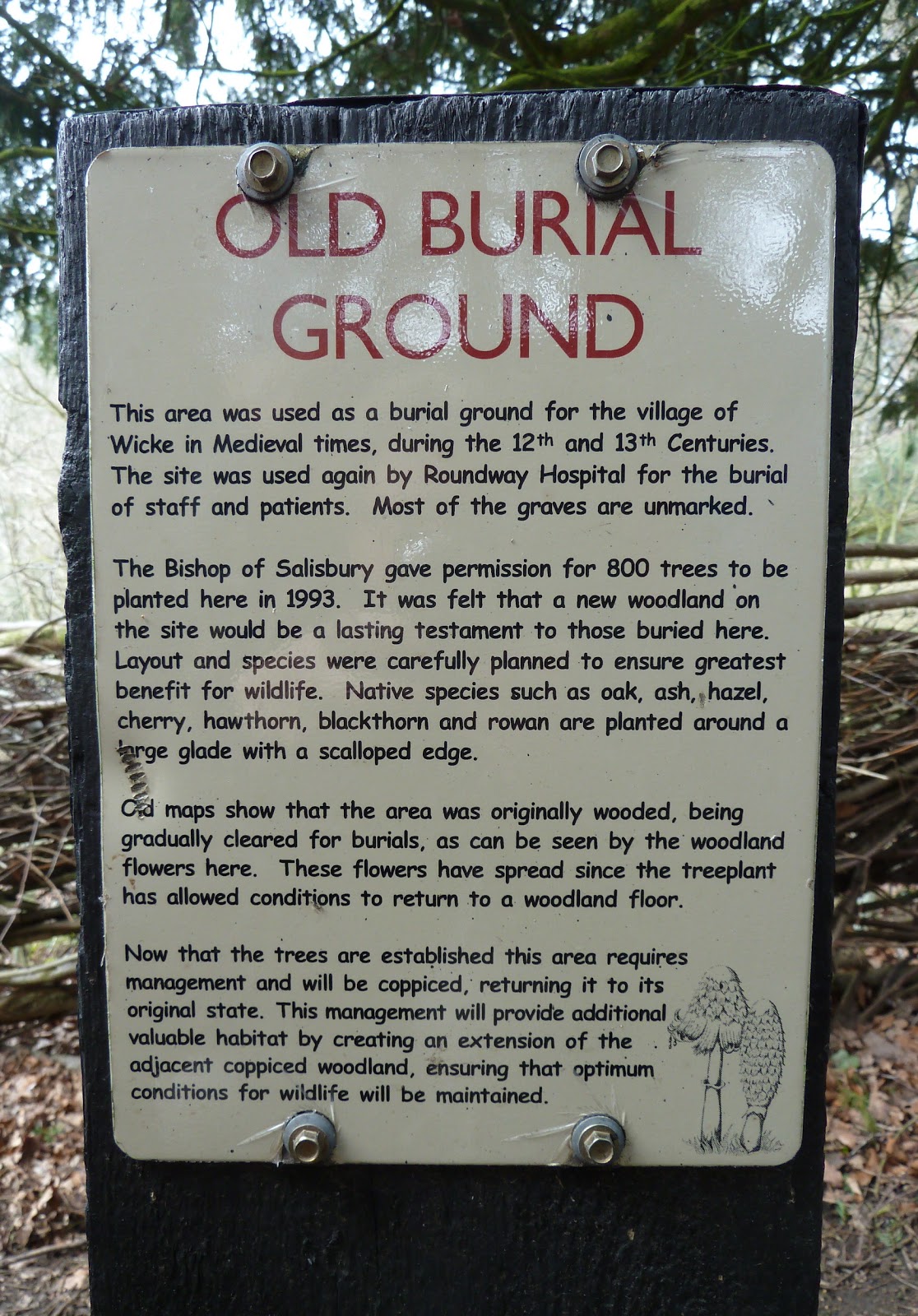 Devizes Days in Words and Pictures 2015 A Walk around Drew's Pond