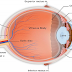 How To Possibly Save And Restore Your Eyesight With One Ingredient!