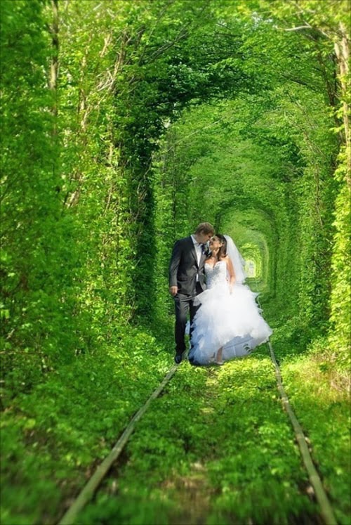 The Tunnel of Love