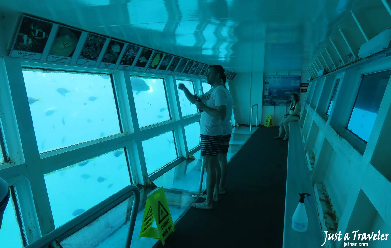聖靈群島-景點-推薦-大堡礁-海底觀測室-浮潛-潛水-行程-玩水-一日遊-遊記-攻略-自由行-旅遊-澳洲-Whitsundays-Great-Barrier-Reef