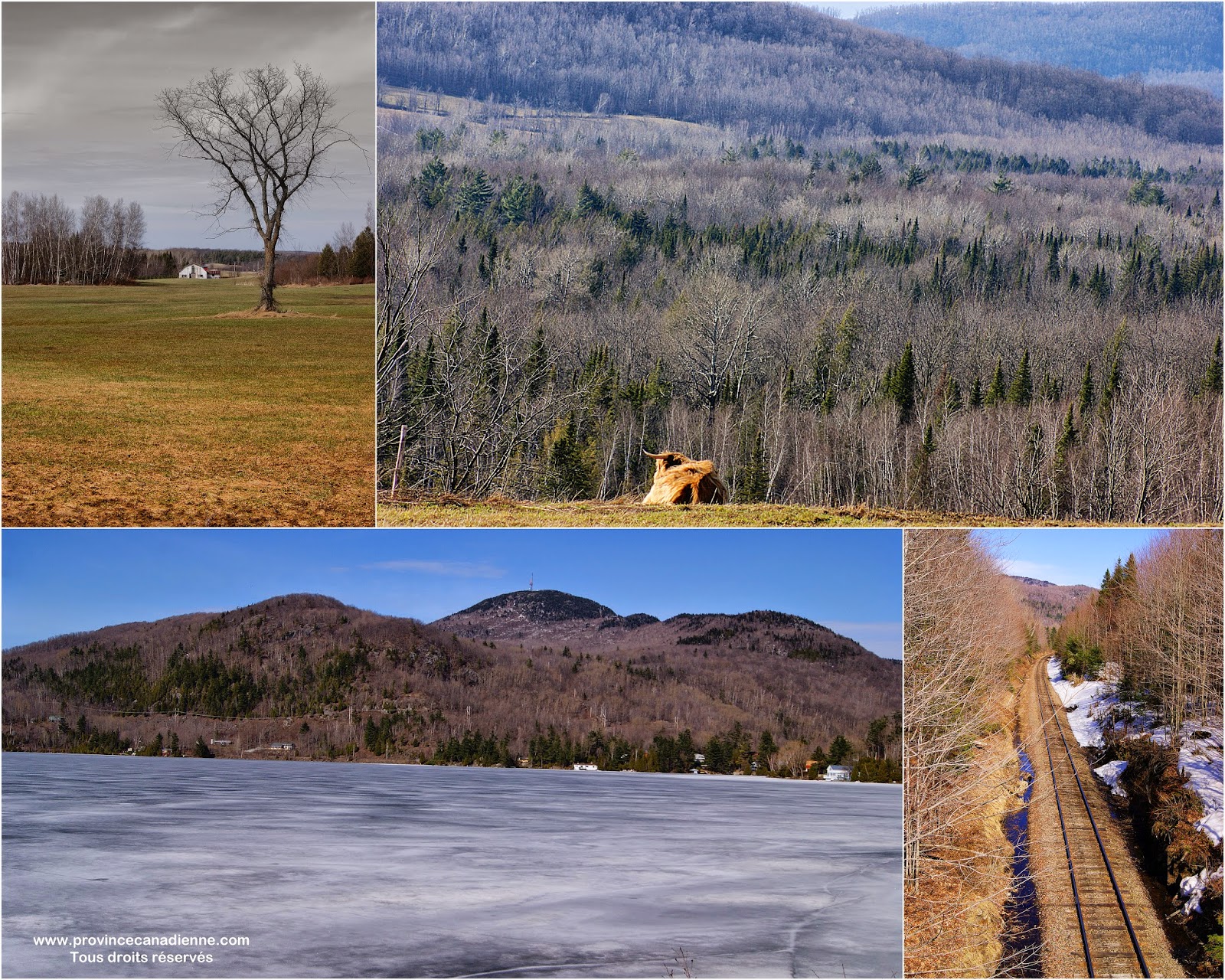 Province canadienne De Roxton Falls au MontOrford