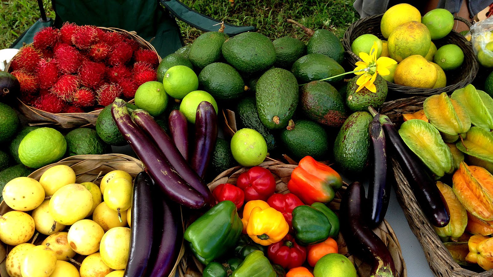 Vegetable Gardening In Hawaii Vege Choices