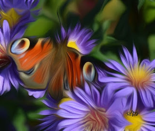 Schmetterling, mariposa, butterfly, fluture, papillon Insekten, insekte, insektet, intsektuak, insekti, Насекоми, insekter, insects, Putukad, Hyönteiset, insectes, έντομα, serangga, feithidí, skordýr, insetti
