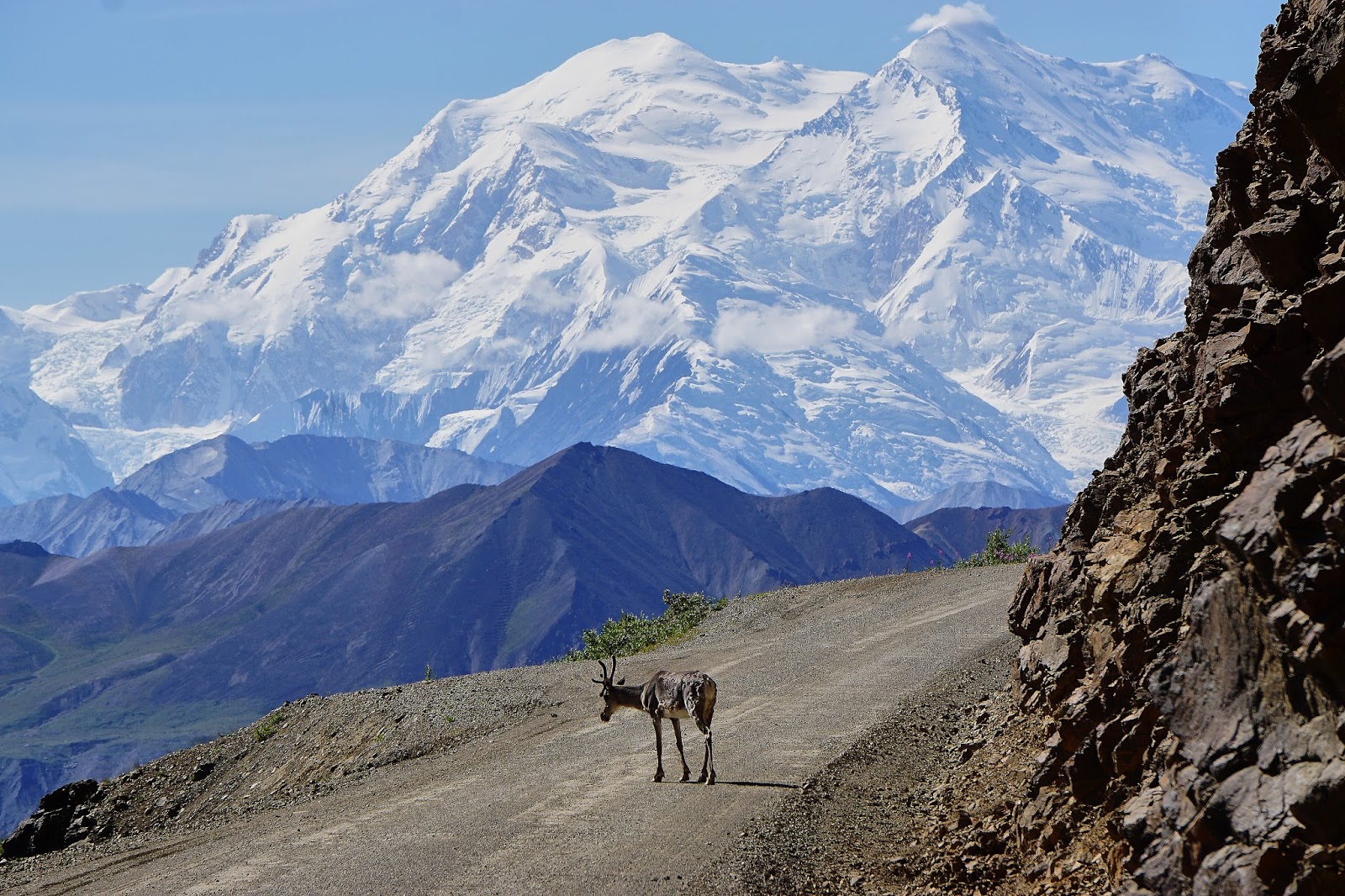 after about 6 hours of travel we finally reach the beautiful eielson visitor center what a view of denali greats us on this perfect weather day after about 6 hours of travel we finally reach the beautiful eielson visitor center what a view of denali greats us on this perfect weather day