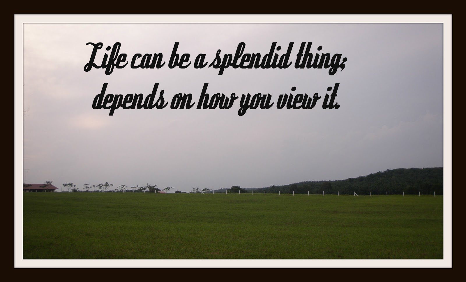 Serene's Life Quotes