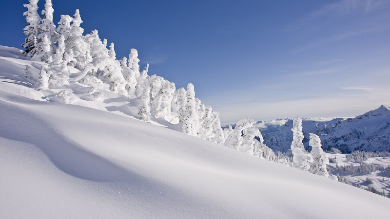 Mount Rainier covered with Snow