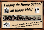 What do I say about Homeschooling?