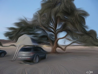 Bäume, trees, cây cối, bome, pemë, Zuhaitzak, Drveće, Дървета Die kraft der Bäume, the power of trees