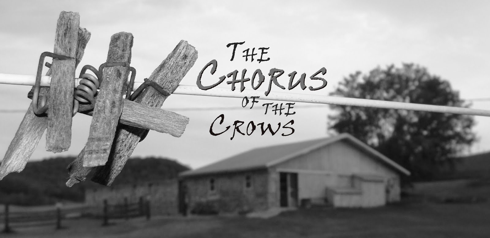 The Chorus of the Crows Awestruck