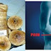Are You Suffering From Back Or Leg Pain? This Remedy Will Remove The Pain Permanently!