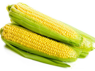 Maize Corn Corn-Maize