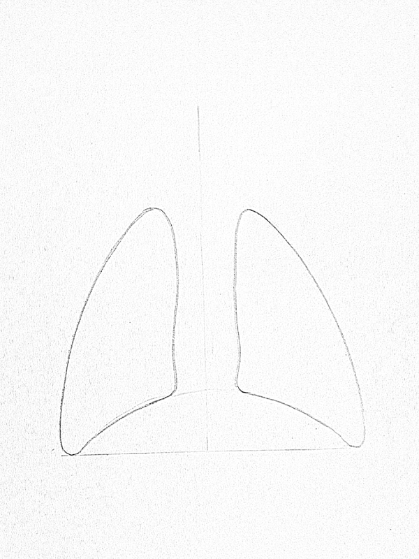 DRAW IT NEAT: How to draw Lungs diagram