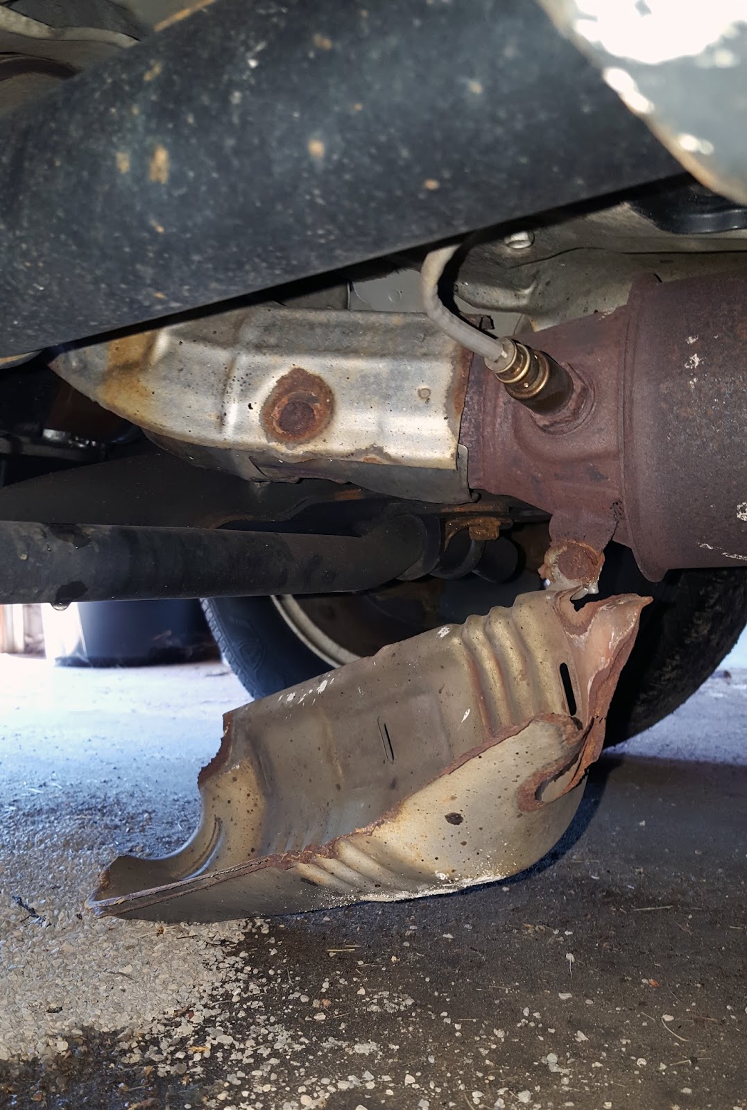 On the Light Side Falling Off The Turnip Truck