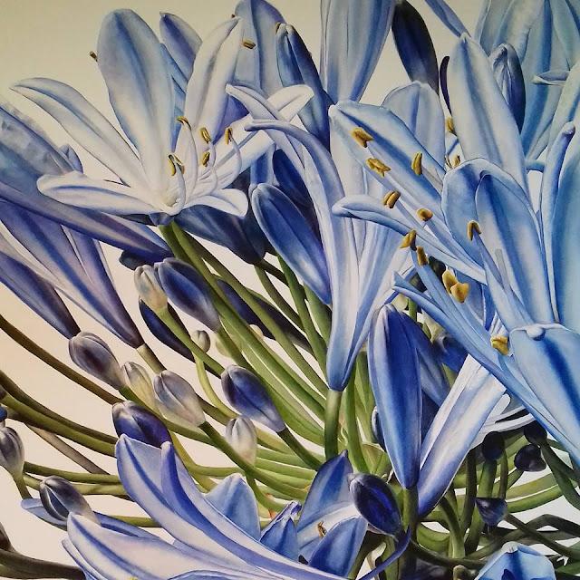 Botanical art of blue flowers - Inky Leaves Botanical art of blue flowers - Inky Leaves