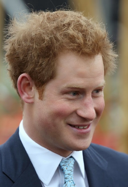 VJBrendan.com: Prince Harry Visits a New Playground at Queen Elizabeth ...