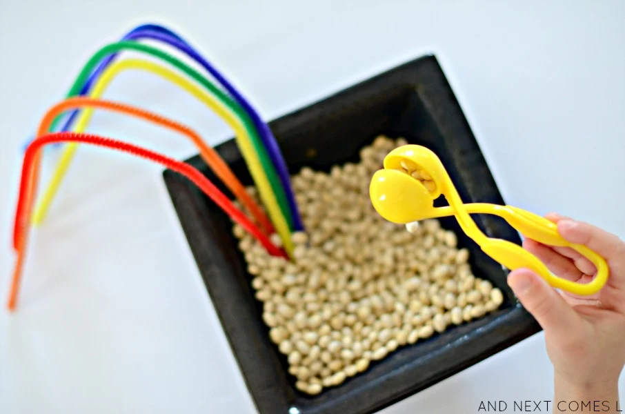 Scooping golden dyed beans from a St. Patrick's Day sensory activity from And Next Comes L