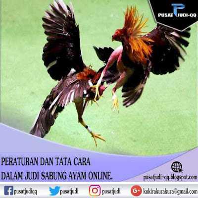 Peraturan Judi Sabung Ayam Online dan juga Tata cara dalam judi sabung ayam online - Pusat Judi. Peraturan Judi Sabung Ayam Online dan juga Tata cara dalam judi sabung ayam online - Pusat Judi.