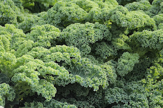 kale/home remedies to reduce high blood pressure
