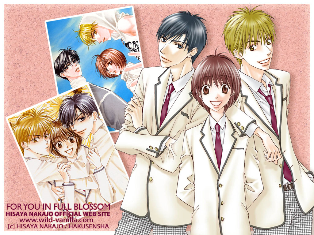 Sensei Shimekiri Made Matte Scan Vf www.shojopapers.com