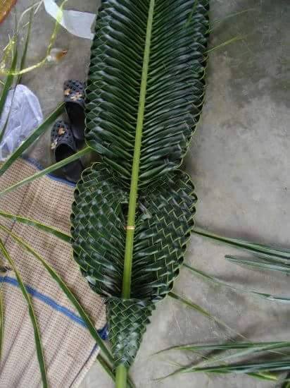 Membuat anyaman dari janur  daun kelapa Kumpulan Kreasi 