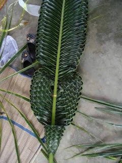 membuat anyaman dari daun kelapa