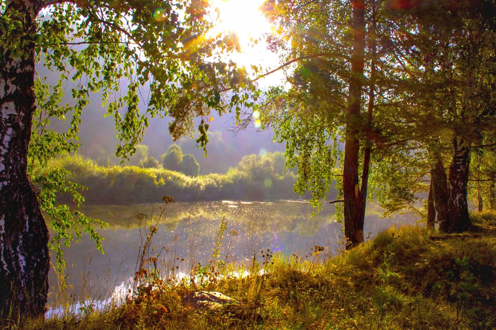 Благодать рекою. Тишина природы. Тишина и покой в природе. Природа спокойствие. Красота природы тишина и Благодать.