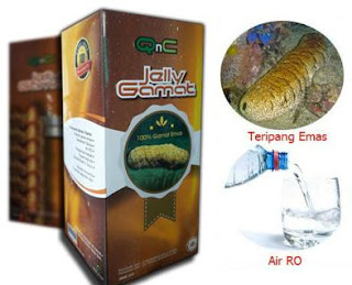 Pengobatan Tradisional Penyakit Kista Ovarium