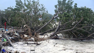Berita Terhangat Muncul Lumpur Usai Gempa Di Sigi, Bikin Bangunan Dan Pohon Amblas Berita Terhangat Muncul Lumpur Usai Gempa Di Sigi, Bikin Bangunan Dan Pohon Amblas