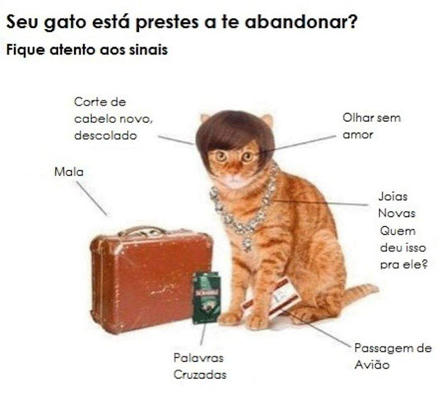 Memes engracados Memes engracados