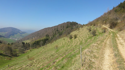 Zwischen Gwidem und Belchenfluh Zwischen Gwidem und Belchenfluh