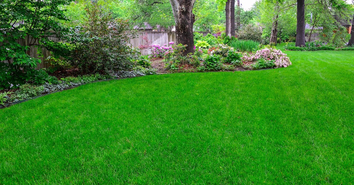 Ask A Master Gardener: Reseeding Fescue Lawns in Fall