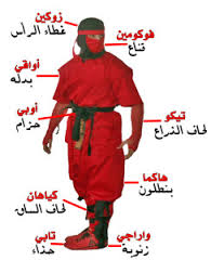 تعلم كل اسرار النينجا