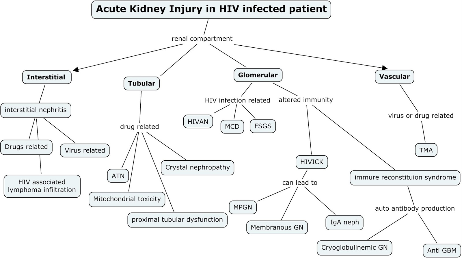 acute renal failure concept map Nephron Power Concept Map Acute Kidney Injury In Hiv acute renal failure concept map