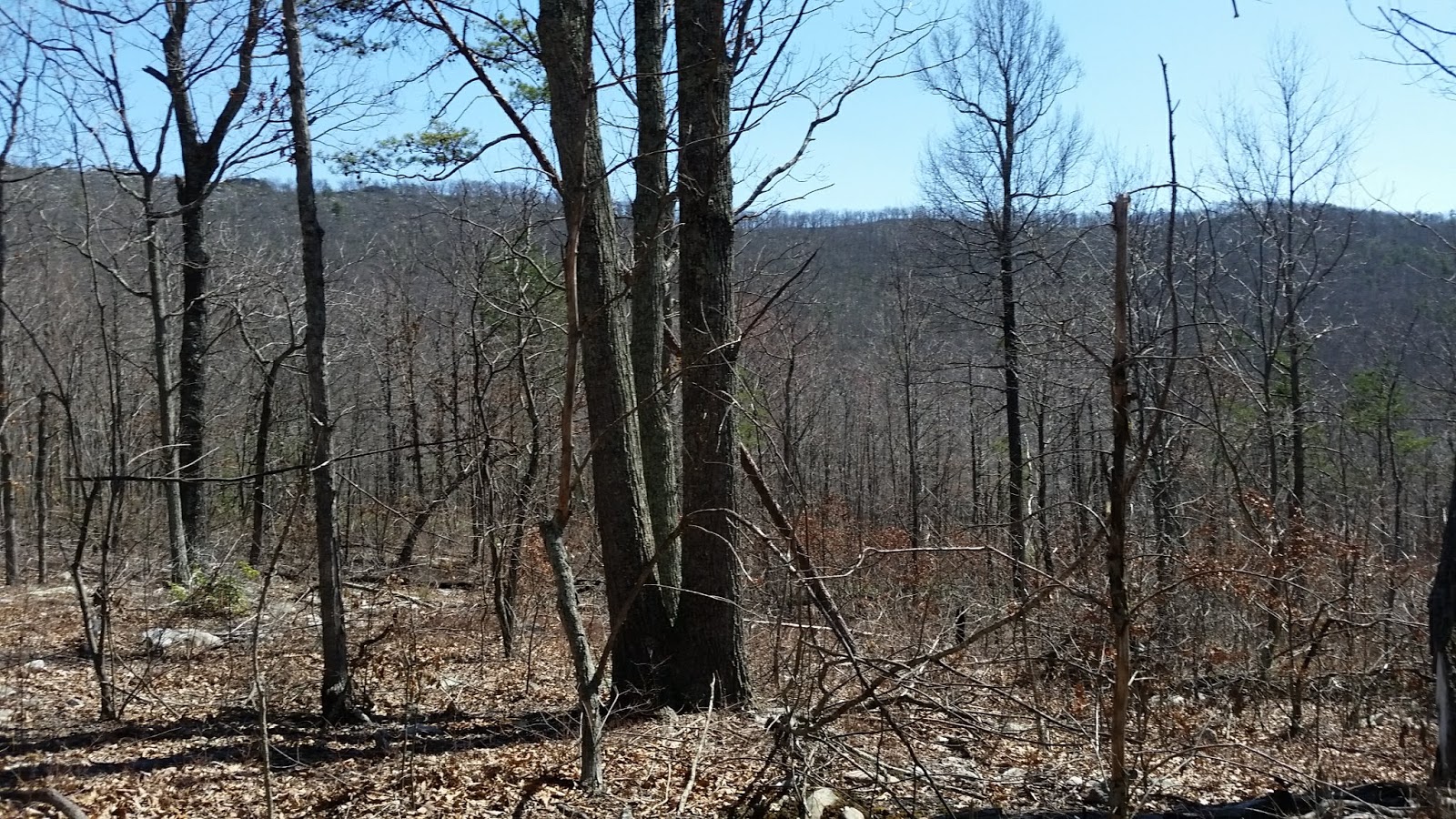 "Lee 333 Challenge" Hike all the trails in the Washington