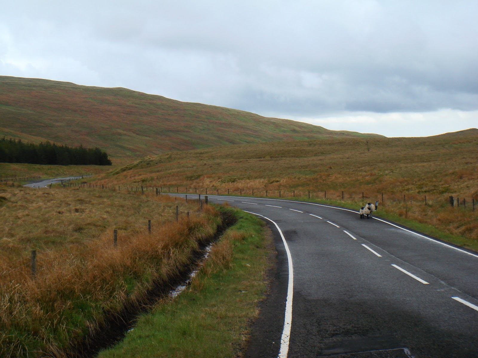 Cycling Meditations The Crow Road