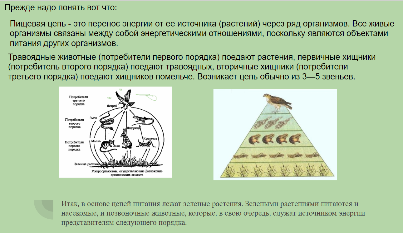 Потребители второго порядка. Консумент первого порядка пищевой цепи. Потребители 1 порядка это примеры. Потребители 1 порядка в пищевой цепи. Потребитель второго порядка в пищевой цепи это.