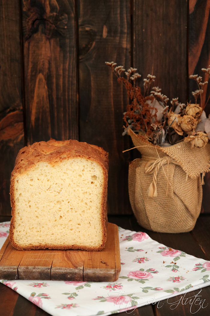 Tartas sin Gluten..365 dias sin gluten Pan de Brioche en