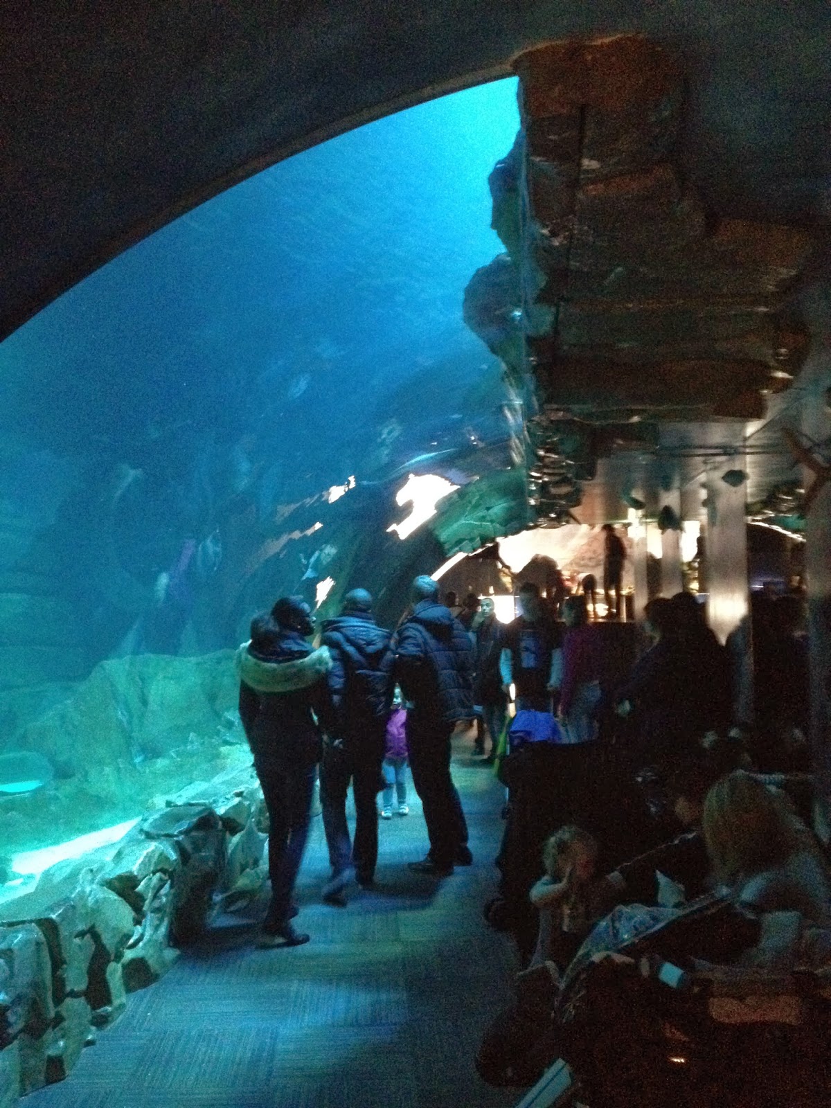 L'aquarium de Paris [sortie]