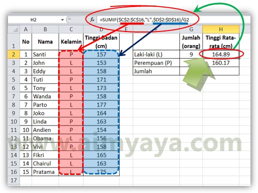  Gambar: Cara menghitung tinggi rata-rata murid berdasarkan jenis kelamin laki-laki dan perempuan menggunakan microsoft excel 2010