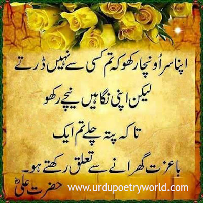 Quotes Of The Day,Urdu Quotes,Islamic Quotes,Islamic Urdu Quotes