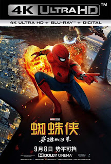 Spider-Man de regreso a casa (2017) 4K UHD HDR Latino