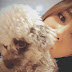 Good Night from SNSD's Yuri and her Dooe