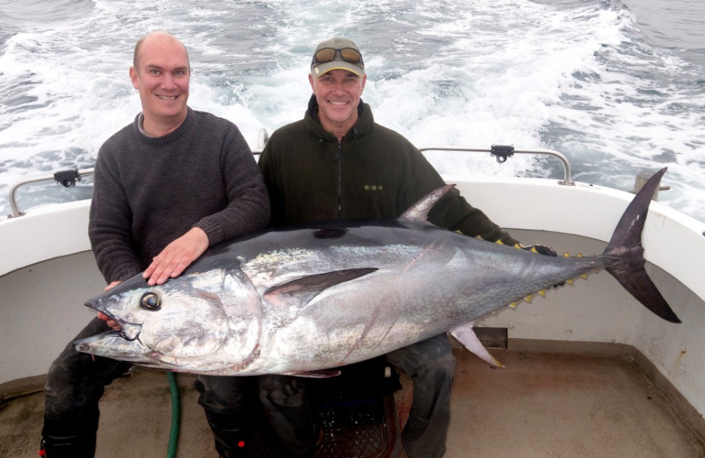 giant tuna fish giant tuna fish