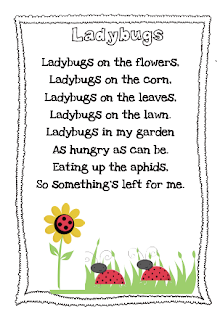 ladybug poems or quotes quotesgram sokolvineyard com quotes about ladybugs