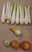 Several small and narrow onion bulbs laid out in three groups. At top are narrower and whiter.