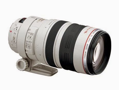 Greenham Birding: Canon 100-400 L IS lens with 1.4x Extender