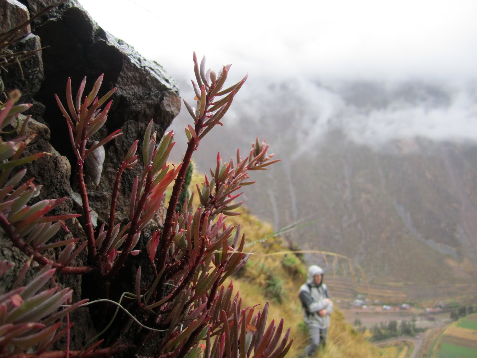 Un Poco de Peru: 07/05/11