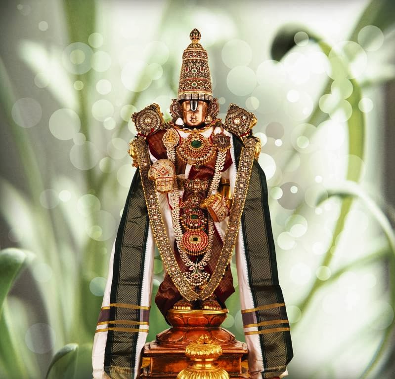 1622876_10203321059331169_198701062_n.jp